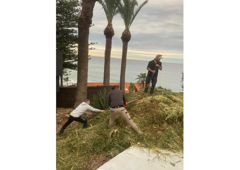 Tree Services North Shore - 4/4