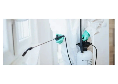 Pest Control Services Gold Coast