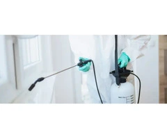 Pest Control Services Gold Coast