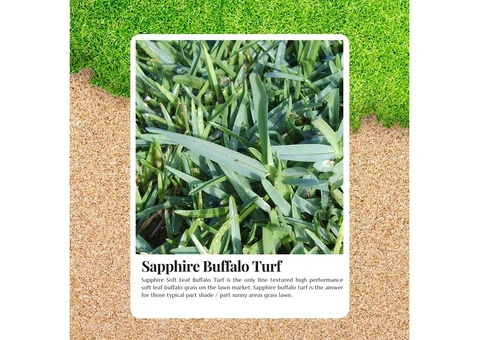 Get a Lush Green Lawn All Year with Soft leaf Buffalo