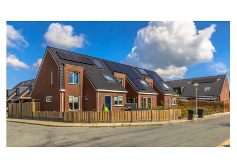 Thorough Building and Pest Inspections in Point Cook for Property Peace of Mind