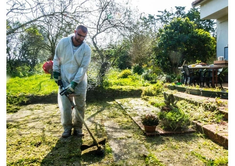 Lawn Mowing in Sydney - Tired of an Overgrown, Messy Lawn? - 4/5