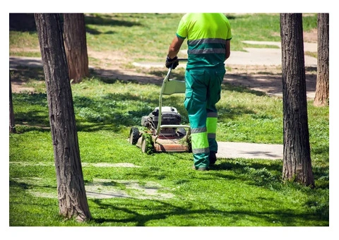 Lawn Mowing in Sydney - Tired of an Overgrown, Messy Lawn? - 5/5