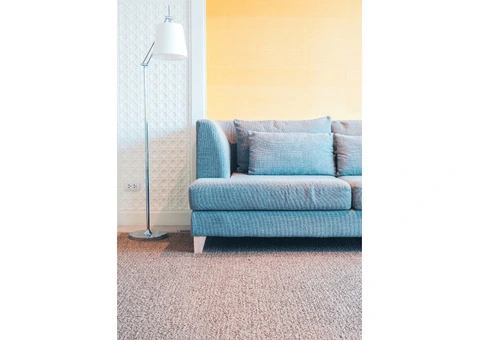 Refresh Your Living Room Floor with a Carpet That Lasts