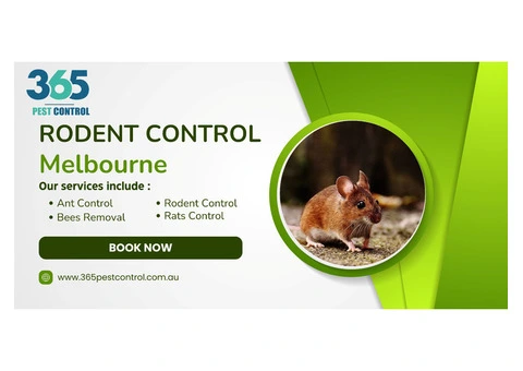 Effective Rodent Control Melbourne