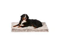 Snooza Calming Ortho Bed for Dogs