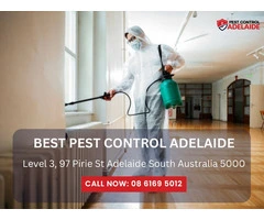 Pest Control Services in Greenacres