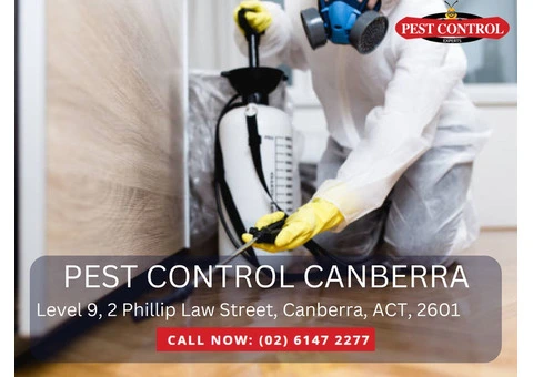 Pest Control Services in Florey
