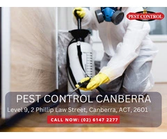 Pest Control Services in Florey