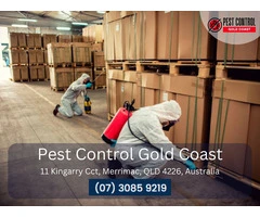 Pest Control Services in Currumbin