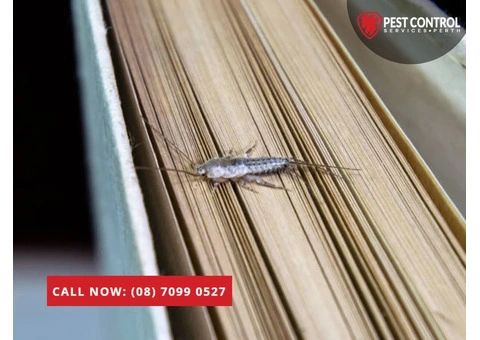 Pest Control Services in Scarborough
