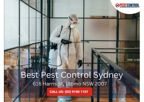 Termite Treatment in Sydney