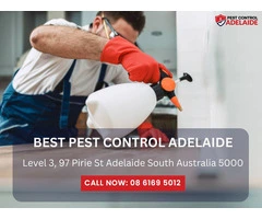 Pest Control Services in Bedford Park