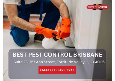 Pest Control Services in Lawnton
