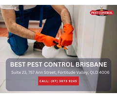Pest Control Services in Lawnton