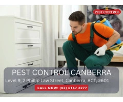 Pest Control Services in Scullin