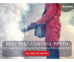 Pest Control Services in Armadale