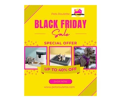 Pets Roulette Black Friday Bonanza Sale!