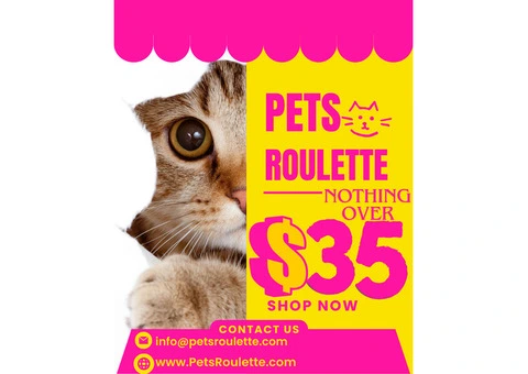 Pets Roulette Black Friday Bonanza Sale! - 3/4