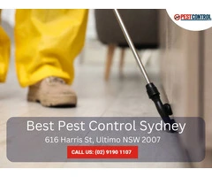 Wasp Control Services in Sydney