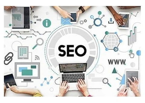 Professional SEO Services in Brisbane for Business Growth