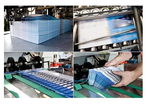 Get Professional Flyer Printing in Sydney For Your Business Needs