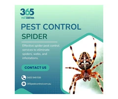 Spider Control Melbourne – Keep Your Home Spider-Free!