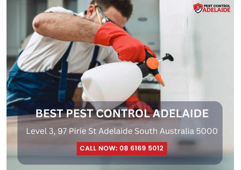 Pest Control Services in Belair