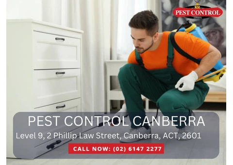 Pest Control Services in Ngunnawal