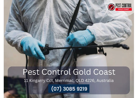 Pest Control Services in Oxenford