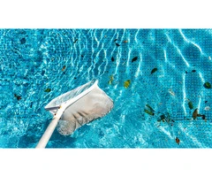 Pool Maintenance Abbotsford