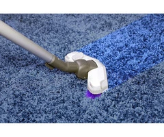 Expert Carpet Cleaning Brisbane – Final Bond Cleaning Brisbane