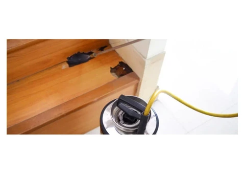 Termite Inspections Gold Coast