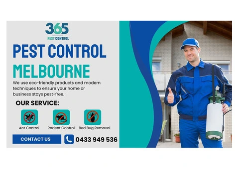 Reliable Pest Control Melbourne Services – Your Local Experts
