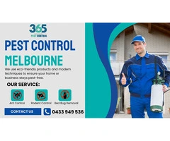 Reliable Pest Control Melbourne Services – Your Local Experts