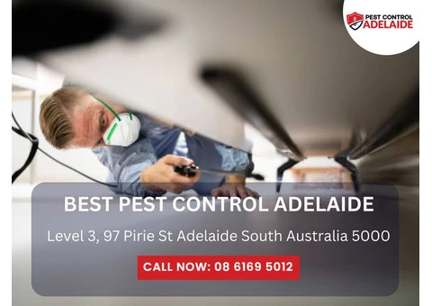 Professional Pest Control Service in Chandlers Hill