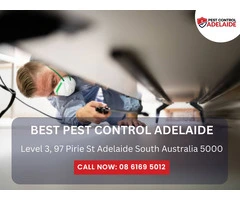 Professional Pest Control Service in Chandlers Hill