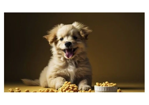 LifeWise Turkey & Vegetables, Perfect Grain-Free Nutrition for Dogs