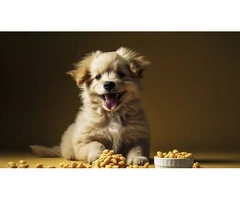 LifeWise Turkey & Vegetables, Perfect Grain-Free Nutrition for Dogs