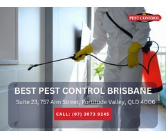 Comprehensive Pest Control Services in Redland Bay