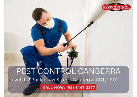 Expert Pest Control Services in Scullin
