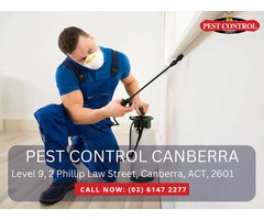Expert Pest Control Services in Scullin