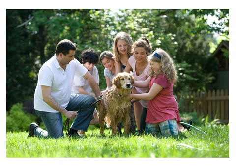 Life Insurance Solutions in Melbourne | Trusted Life Insurance 4U - 4/4