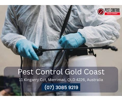 Professional Pest Control Services in Mudgeeraba