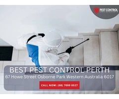 Reliable Pest Control Solutions in Piara Waters