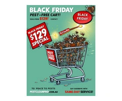 BLACK FRIDAY SPECIAL – Pest Control Services in Brisbane – ONLY $129!