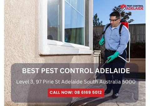 Reliable Pest Control Services in Glenelg
