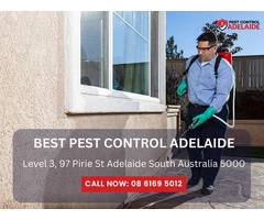 Reliable Pest Control Services in Glenelg