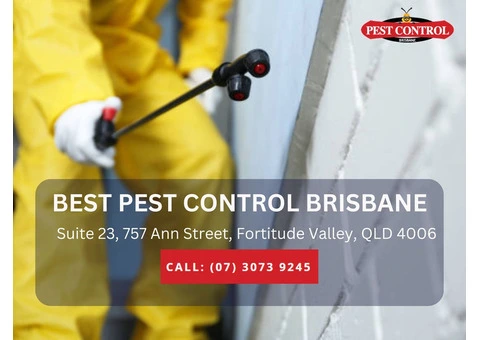 Professional Pest Control Services in Redcliffe