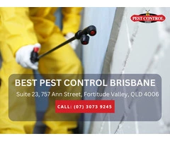 Professional Pest Control Services in Redcliffe